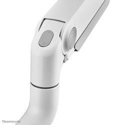 Neomounts desk monitor arm image 12